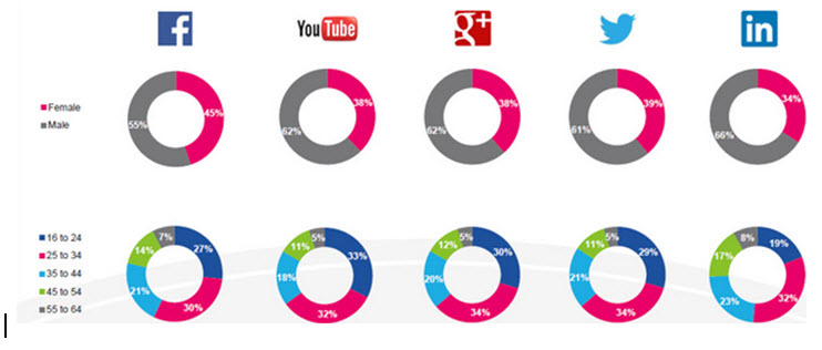 social media 2013